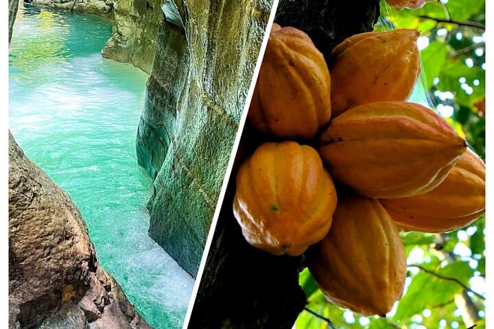 Damajagua Waterfalls Canyoning & Dominican Flavours: Private Full-Day Tour from Puerto Plata