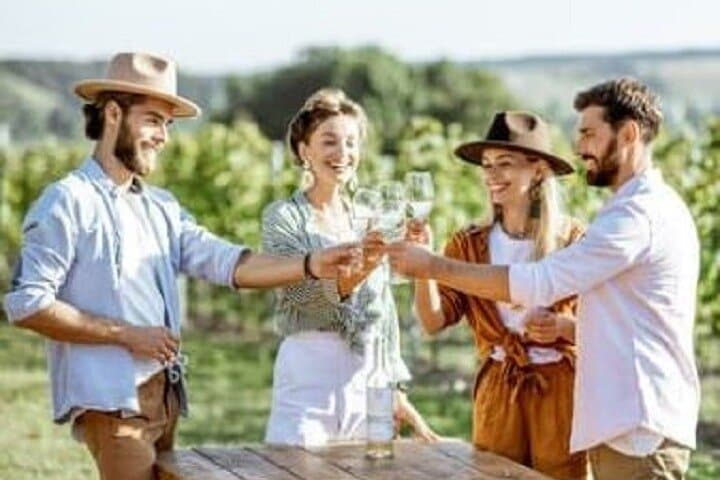 Mount Tamborine Deluxe Wine Tasting & Two‑Course Lunch Tour from Brisbane