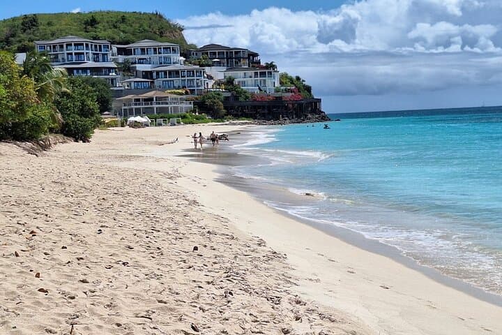 Antigua Island Tour: Nelson's Dockyard, Devil's Bridge & Betty's Hope photo 2