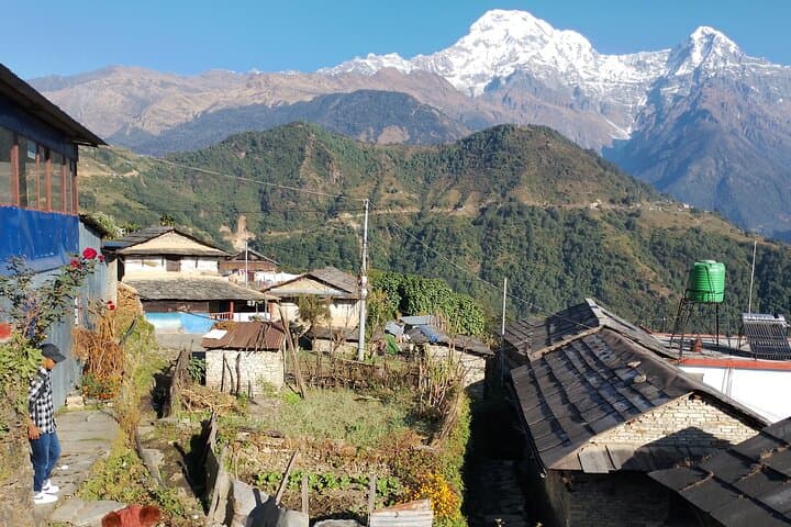 7-Day Annapurna Base Camp Trek from Pokhara — Full Guide photo 4