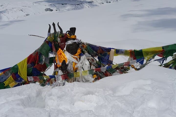 Annapurna Base Camp Trek: 10-Day Classic Trek from Kathmandu photo 3
