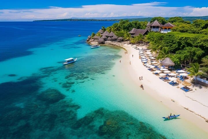 Cebu Whale Shark Watching & Sumilon Island Hopping Day Trip
