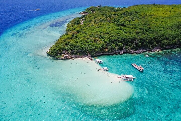Cebu Whale Shark Watching & Sumilon Island Hopping Day Trip photo 2