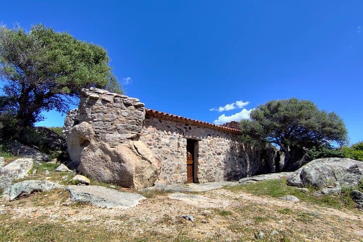 Explore Luogosanto: Guided Cultural Tour Through Gallura’s Granite Heart