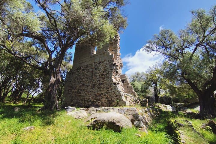 Explore Luogosanto: Guided Cultural Tour Through Gallura’s Granite Heart photo 2