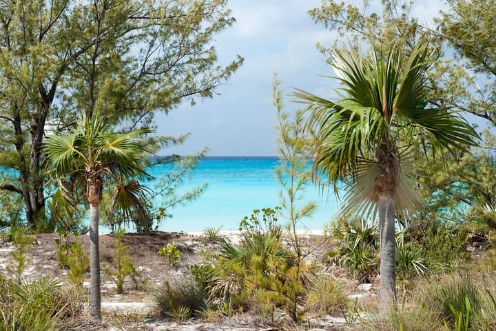 Private Jeep Sightseeing Tour in Nassau — 3-Hour Island Highlights photo 2