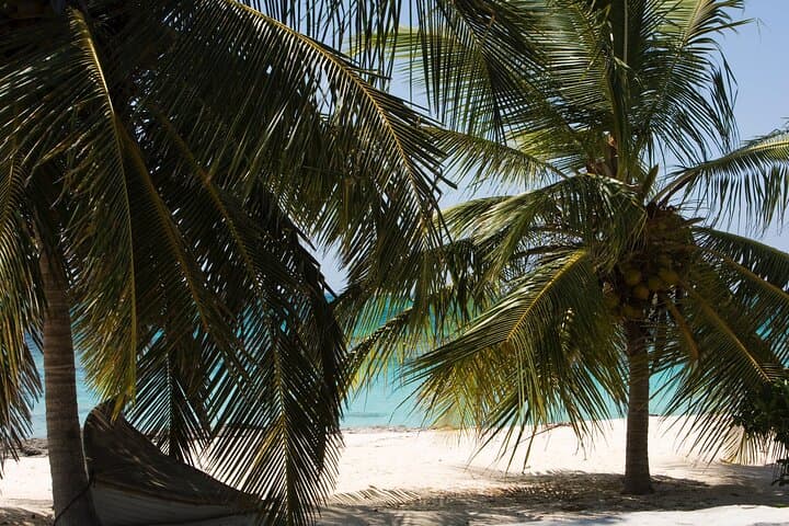 Private Jeep Sightseeing Tour in Nassau — 3-Hour Island Highlights photo 6