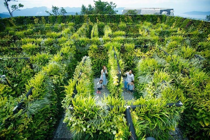 Da Nang Private Tour: Marble Mountains, Son Tra & Hoi An in a Day photo 5