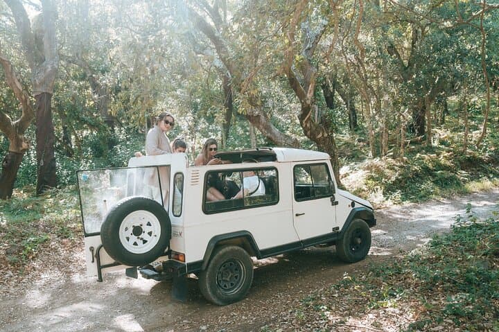 Off-Road 4x4 in Sintra: Hidden Trails, Secret Beaches & Vintage UMMs photo 5