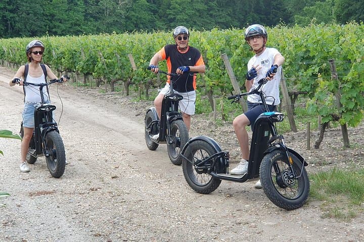Off-Road Electric Scooter Wine Tour at Château La Louvière (Pessac-Léognan) photo 4