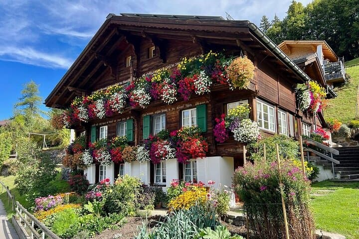 Wengen Countryside Walk: Easy Family Hike, Raclette & Alpine Views