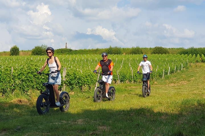 Off-Road Electric Scooter Wine Tour at Château La Louvière (Pessac-Léognan) photo 1