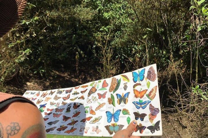 Cerro Gaital Caldera Route Hike: Private 3km Rainforest Trek with Panoramic View photo 2