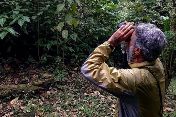 Cerro Gaital Caldera Route Hike: Private 3km Rainforest Trek with Panoramic View photo 4