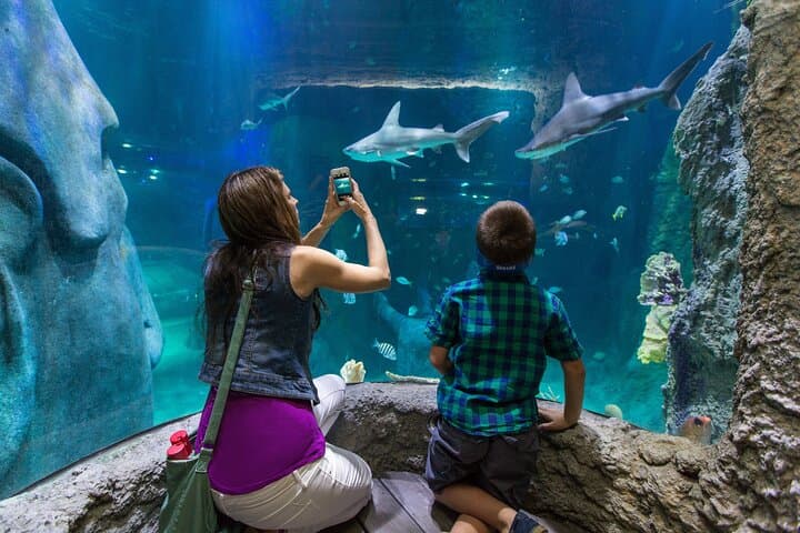 Orlando Explorer Pass — Save on 25+ Top Attractions Including the Orlando Eye photo 5