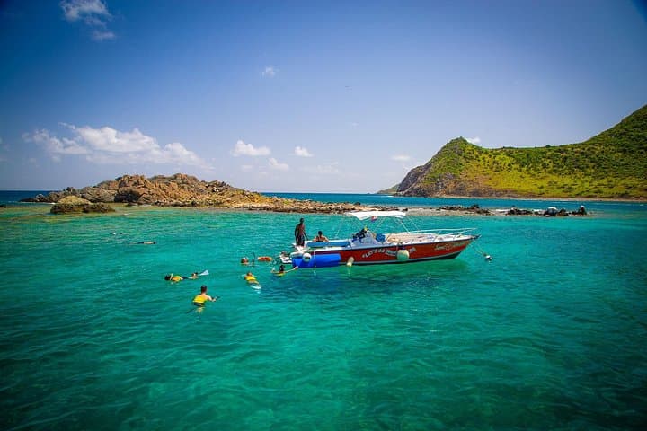 Sand Dollar Half Day Snorkel Trip to Creole Rock — St. Martin Snorkeling Excursion photo 4