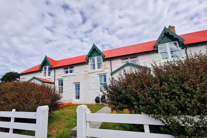 Stanley Penguin & Heritage Shore Tour — Gypsy Cove to Yorke Bay photo 6