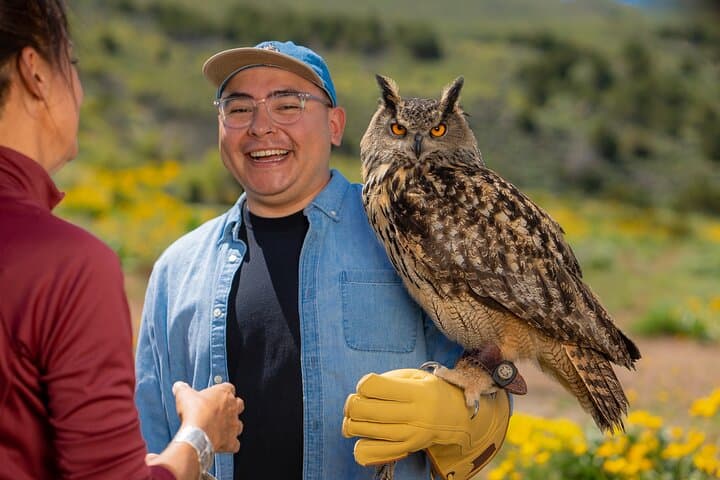 Reno Falconry Experience: Hawk Walk and Raptor Education Near Animal Ark