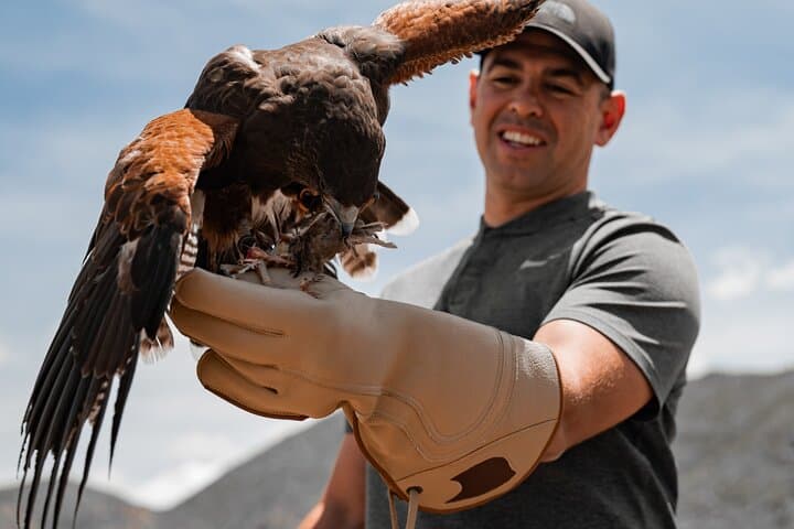 Reno Falconry Experience: Hawk Walk and Raptor Education Near Animal Ark photo 2