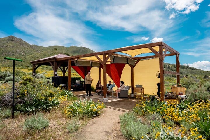 Reno Falconry Experience: Hawk Walk and Raptor Education Near Animal Ark photo 3