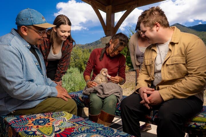 Reno Falconry Experience: Hawk Walk and Raptor Education Near Animal Ark photo 5