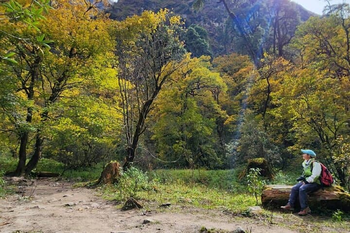 7-Day Langtang Valley Trek — Kyanjin Gompa, Kyanjin Ri & Himalayan Views photo 4