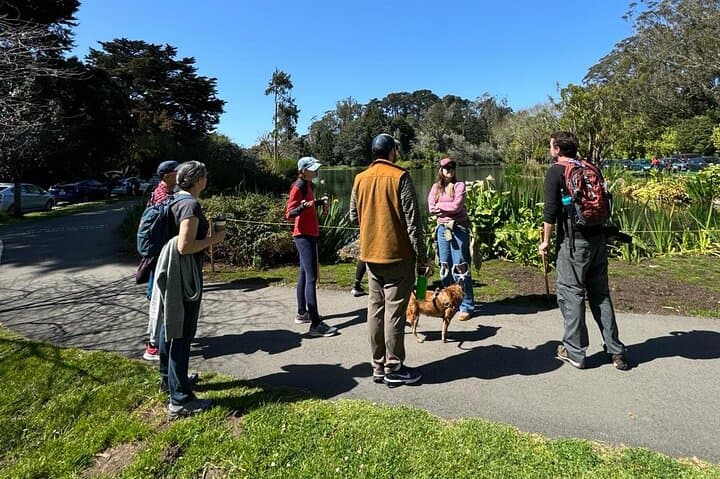 Hawks, Herons & Hummingbirds: Golden Gate Park Wildlife Walking Tour photo 5