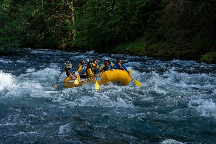 McKenzie River Whitewater Rafting: Class II–III Adventure Near Eugene, OR photo 4