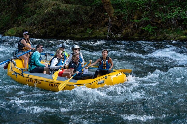 McKenzie River Whitewater Rafting: Class II–III Adventure Near Eugene, OR photo 5