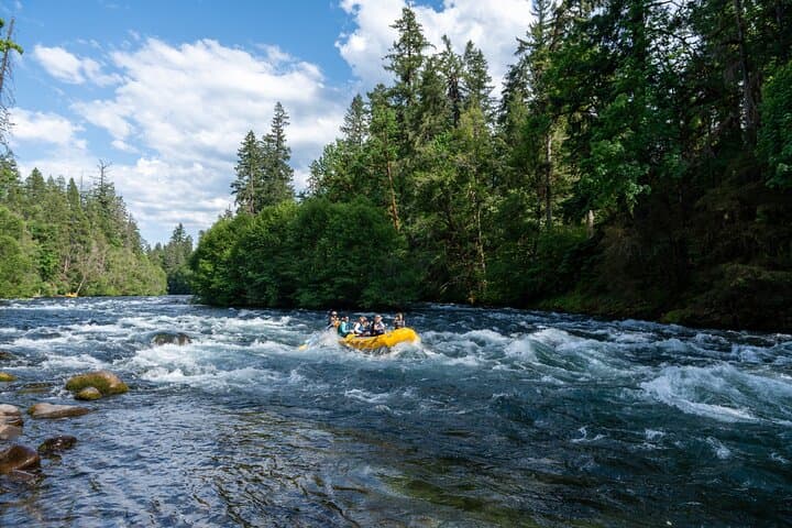 McKenzie River Whitewater Rafting: Class II–III Adventure Near Eugene, OR photo 6