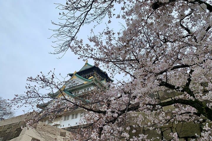Osaka Highlights: 4-Hour Guided Walking Tour of Castle, Tsutenkaku & Dotonbori photo 2