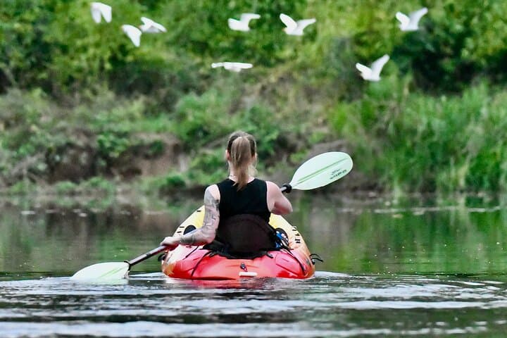 Mangrove Kayak Tour from Sámara to Playa Camaronal: Paddle, Birds, and Turtle Refuge