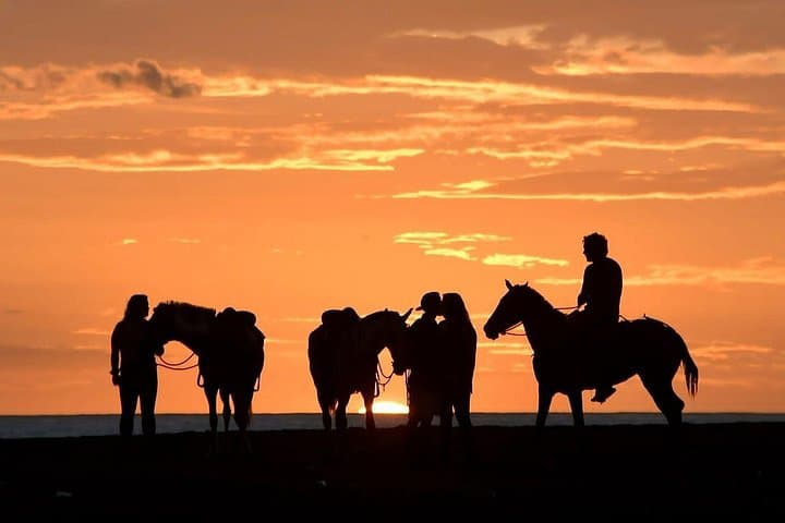 Carrillo Beach Horseback Riding: Beach-to-Jungle Ride Near Sámara, Costa Rica photo 1