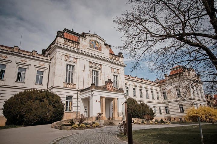 Bohnice Psychiatric Hospital & Abandoned Cemetery: A 3-Hour Dark-History Walk in Prague photo 2