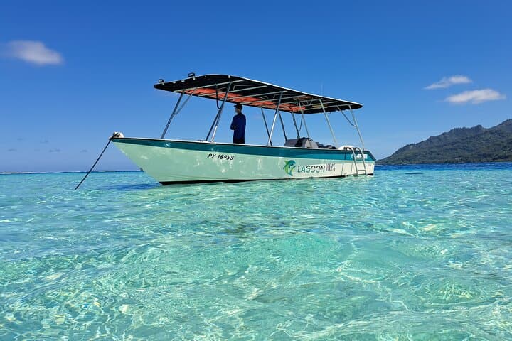 Private Marine Excursion in Moorea Lagoon — Snorkel with Rays, Turtles & Dolphins