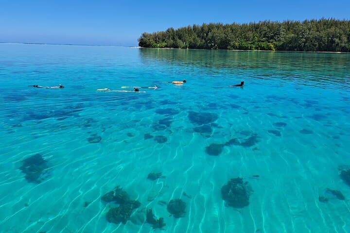 Private Marine Excursion in Moorea Lagoon — Snorkel with Rays, Turtles & Dolphins photo 2