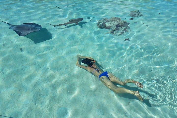 Private Marine Excursion in Moorea Lagoon — Snorkel with Rays, Turtles & Dolphins photo 4