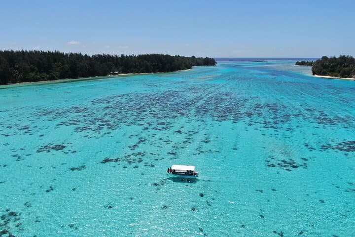 Private Marine Excursion in Moorea Lagoon — Snorkel with Rays, Turtles & Dolphins photo 6