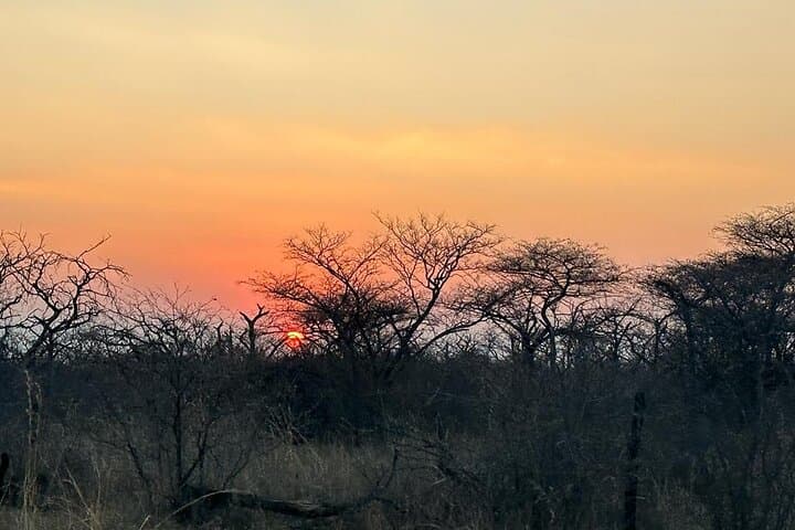 2-Day Pilanesberg Safari: Guided Game Drives & Sunset Open-Vehicle Experience photo 6