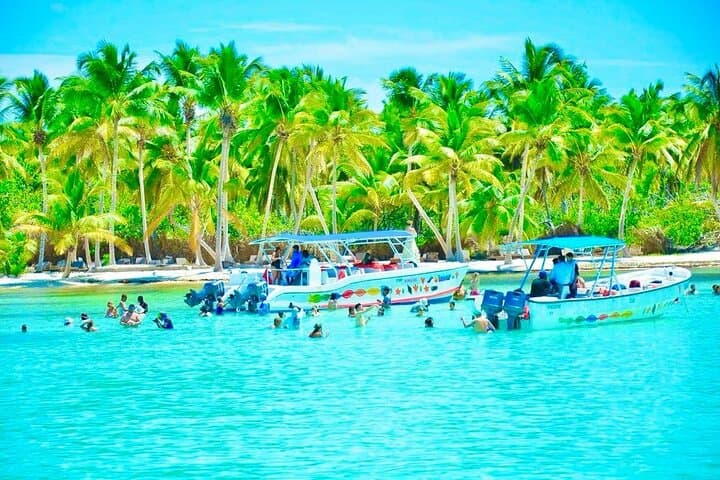 Full-Day Isla Saona Catamaran Tour from Punta Cana photo 6