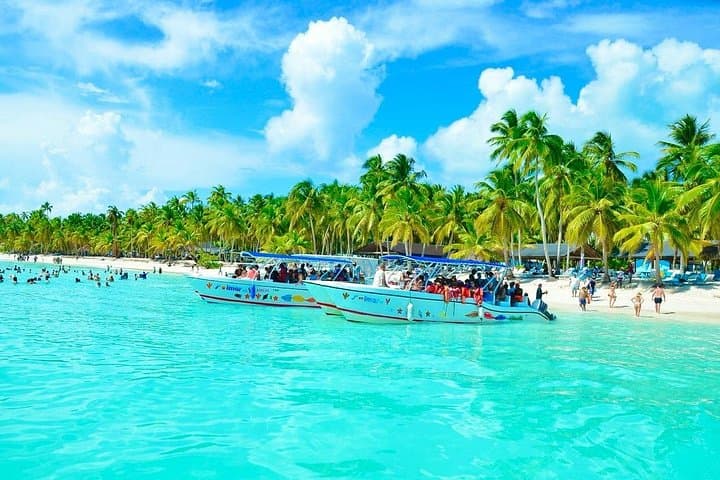 Saona Island Day Trip: Natural Pools, Beach Lunch & Open Bar from Punta Cana photo 3