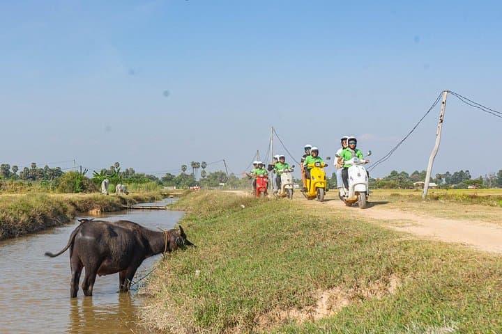 Phnom Penh Silk Island Vespa Tour: Half-Day Mekong Countryside Ride photo 2