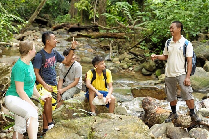 Langkawi Rainforest Trek: 6 km Guided Jungle Walk with Private Pickup photo 3