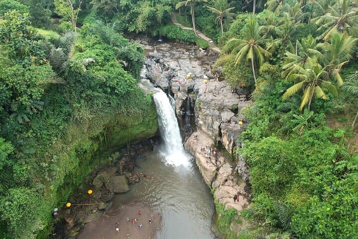 Bali Full-Day Waterfall and Ubud Tour: Tegenungan, Tegalalang & Monkey Forest photo 2
