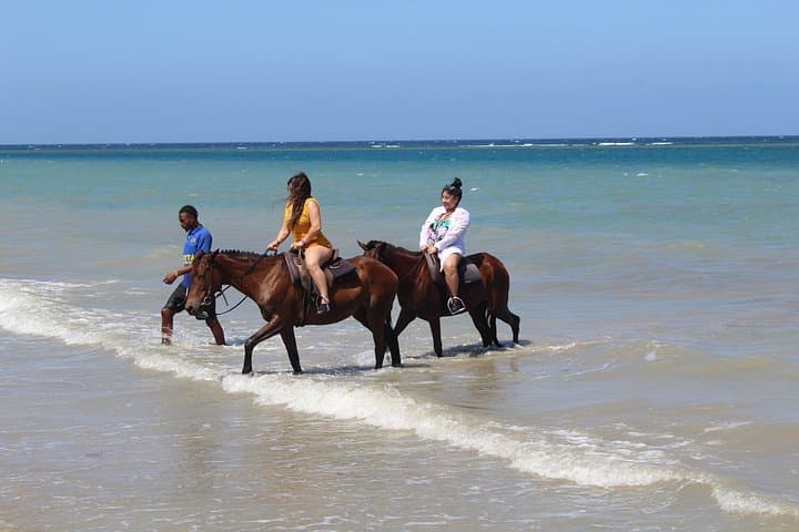 Montego Bay Horseback Beach Ride & Swim — Ride Into the Caribbean photo 4