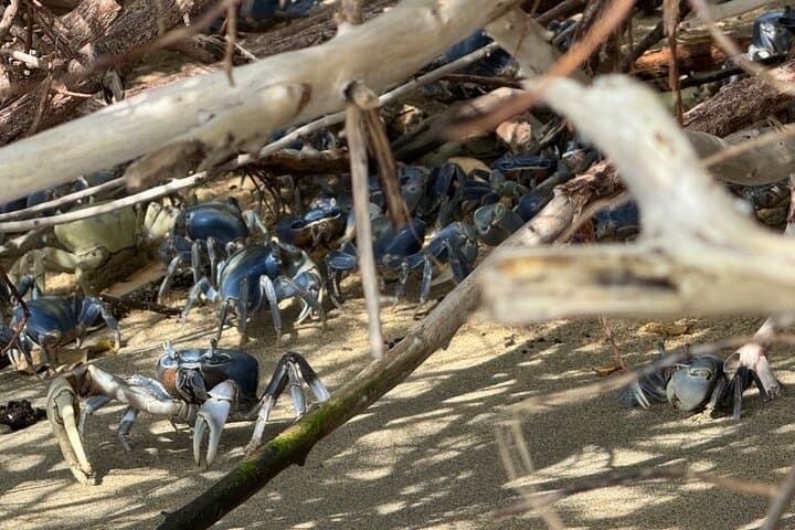 Maritime Adventure to Bahía de Cinto and Playa Cristal in Tayrona National Park photo 3