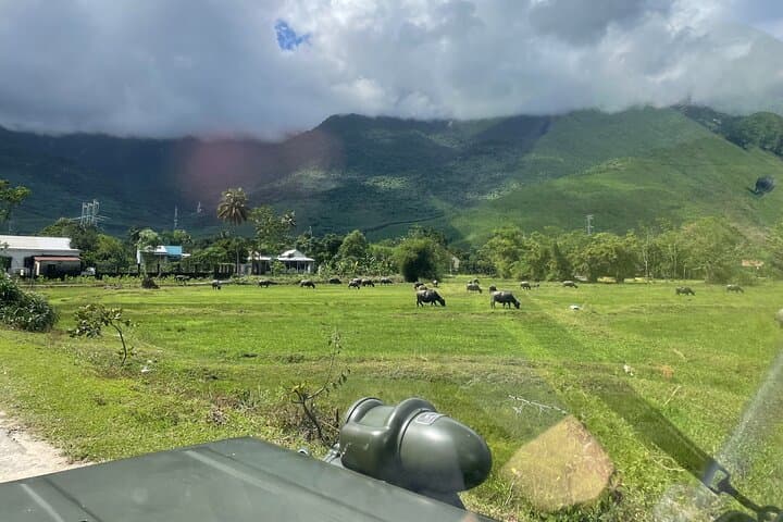 Conquer Hai Van Pass: Old Military Jeep Tour from Hoi An/Da Nang photo 5