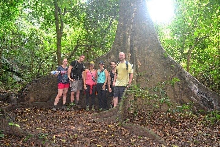 Phong Nha Elephant Cave & Ma Da Valley: Full-Day Jungle Trek and Cave Swim photo 4