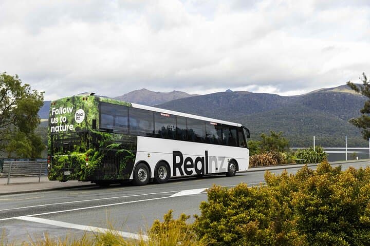 Doubtful Sound Wilderness Cruise from Queenstown — Full-Day Journey to Fiordland's Deep Water Fjord photo 6