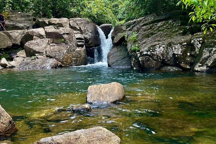 Bentota River Safari, Waterfall Swim & Tea Plantation Day Tour photo 3